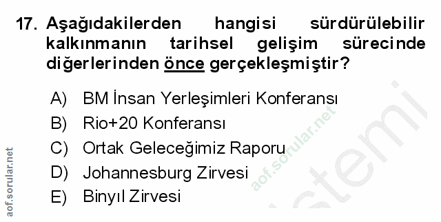 Soru 17