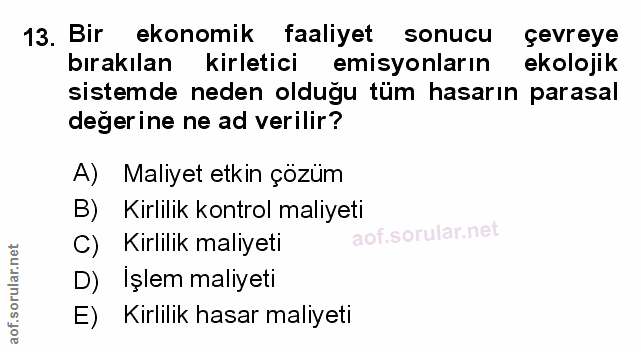 Soru 13