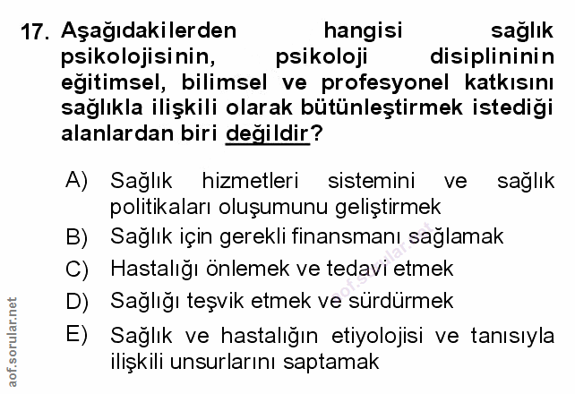 Soru 17