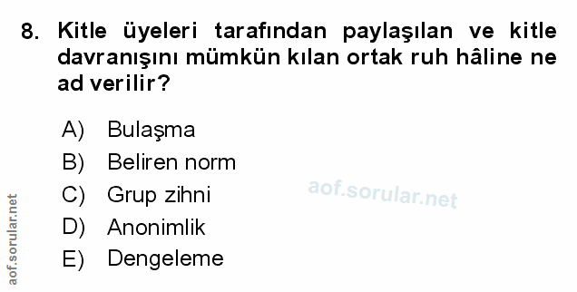 Soru 8
