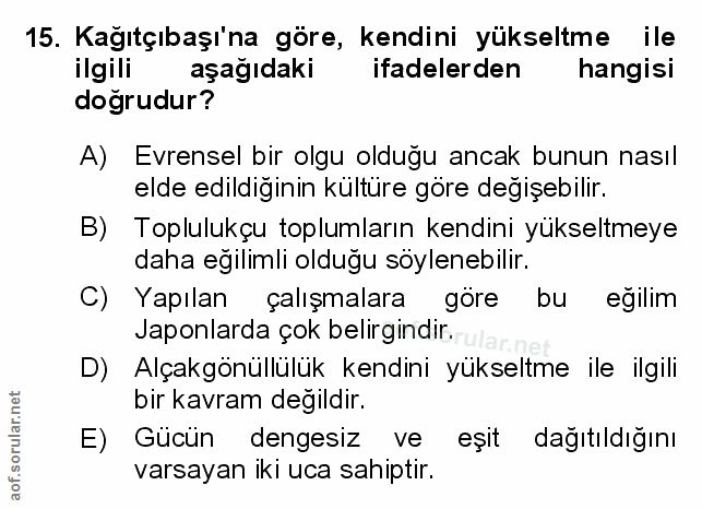 Soru 15