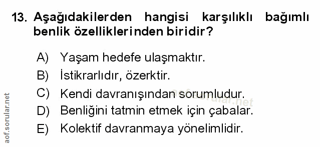 Soru 13
