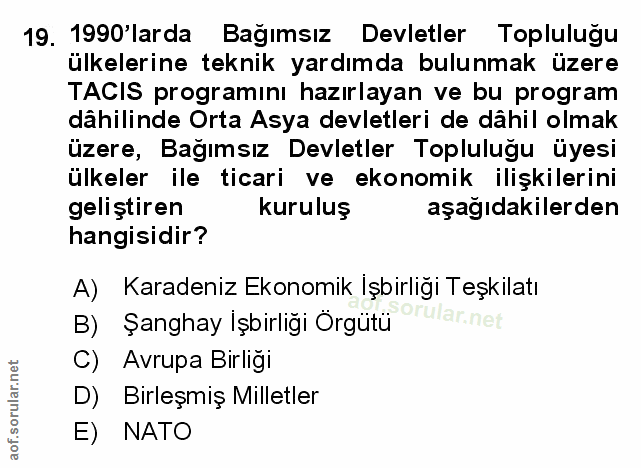 Soru 19