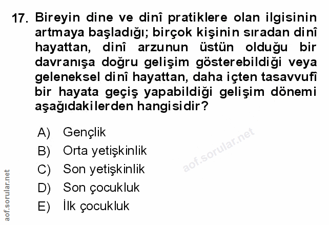 Soru 17