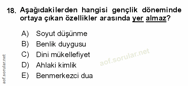 Soru 18