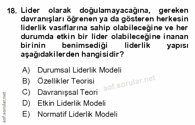 Soru 18