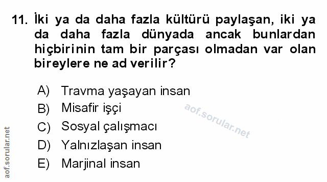 Soru 11