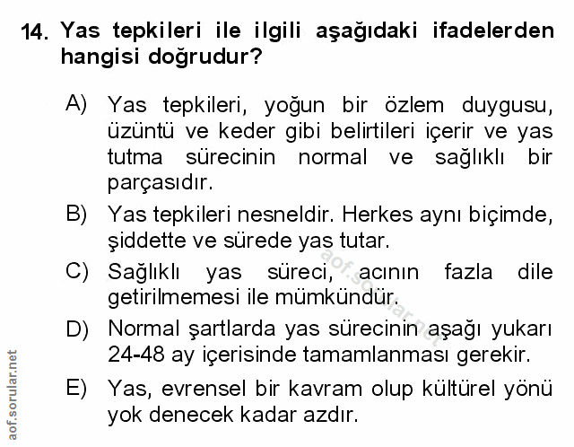 Soru 14