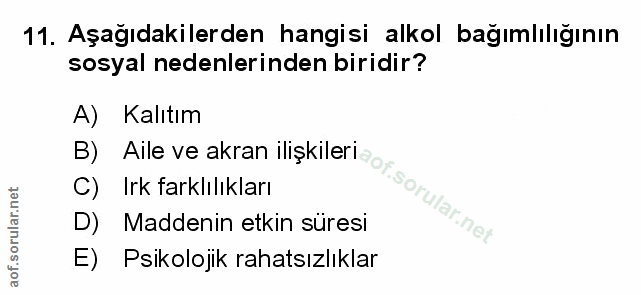 Soru 11