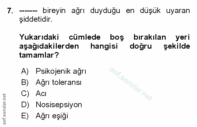 Soru 7