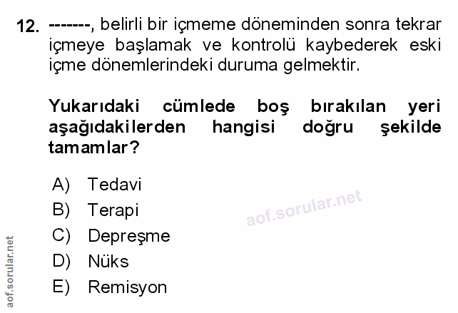 Soru 12