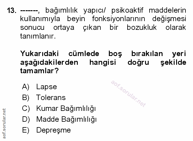 Soru 13