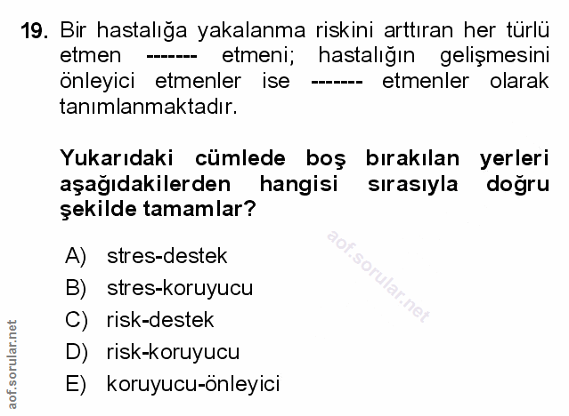 Soru 19