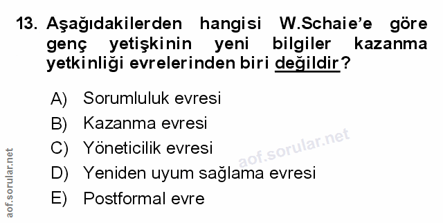 Soru 13
