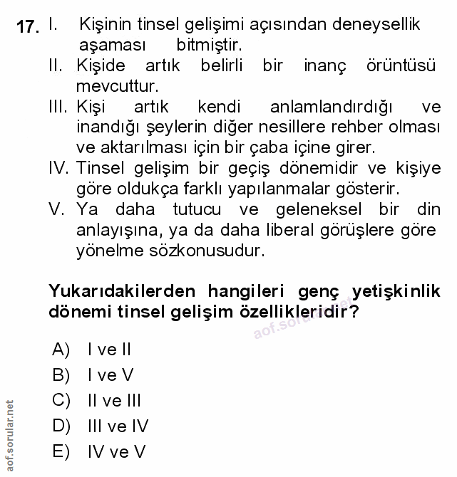 Soru 17