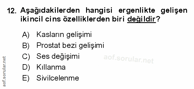 Soru 12
