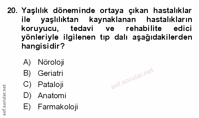 Soru 20