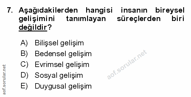 Soru 7