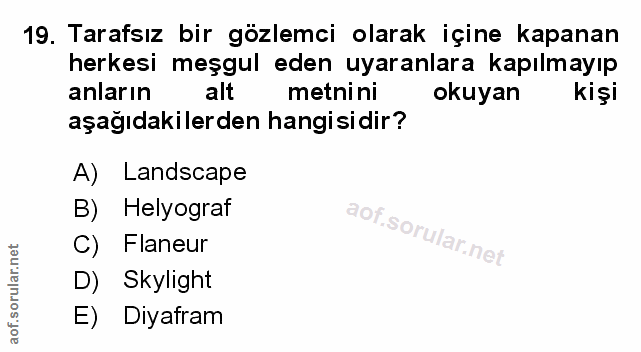 Soru 19