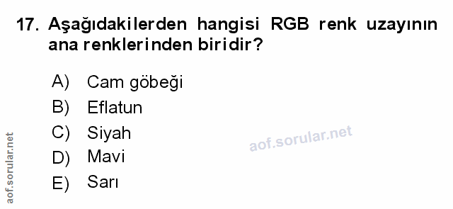 Soru 17