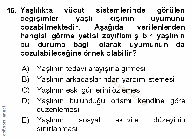 Soru 16