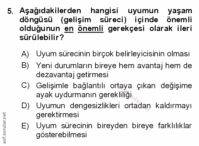 Soru 5
