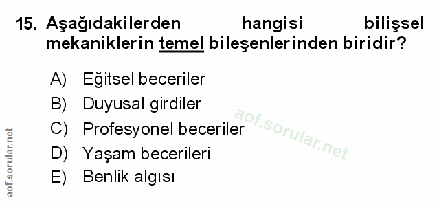 Soru 15