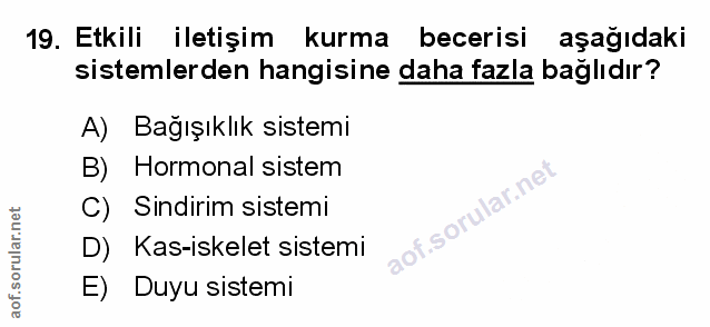 Soru 19