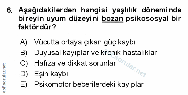 Soru 6