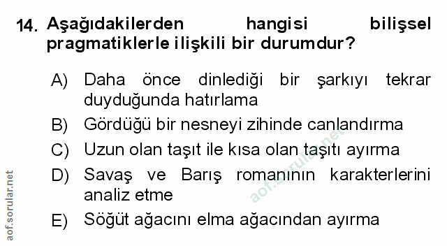 Soru 14
