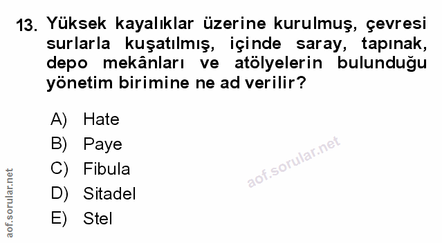 Soru 13