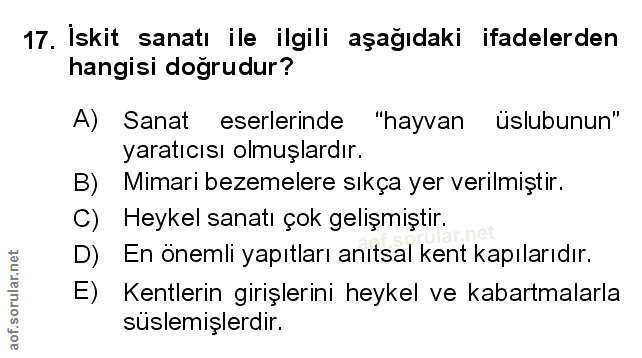 Soru 17