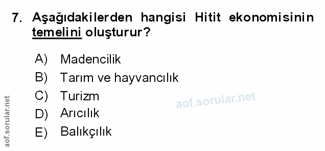 Soru 7