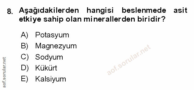 Soru 8