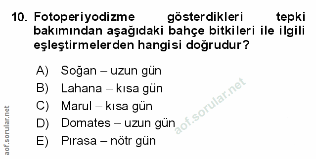 Soru 10