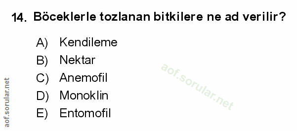 Soru 14