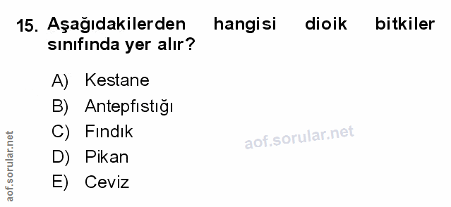 Soru 15