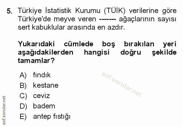 Soru 5