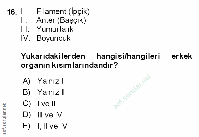 Soru 16