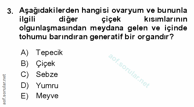 Soru 3