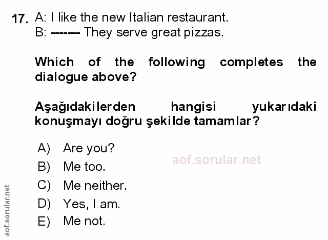 Soru 17