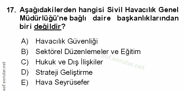 Soru 17