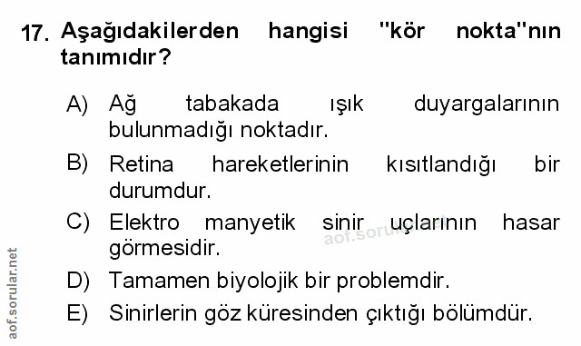 Soru 17