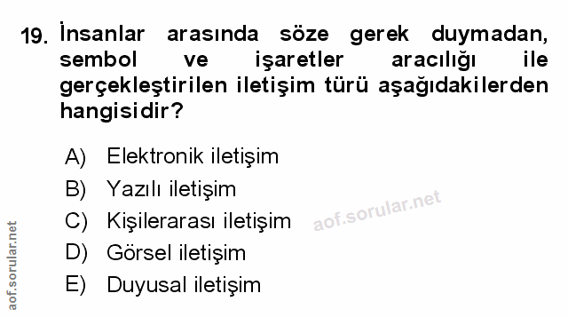 Soru 19