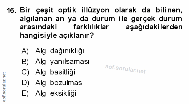 Soru 16
