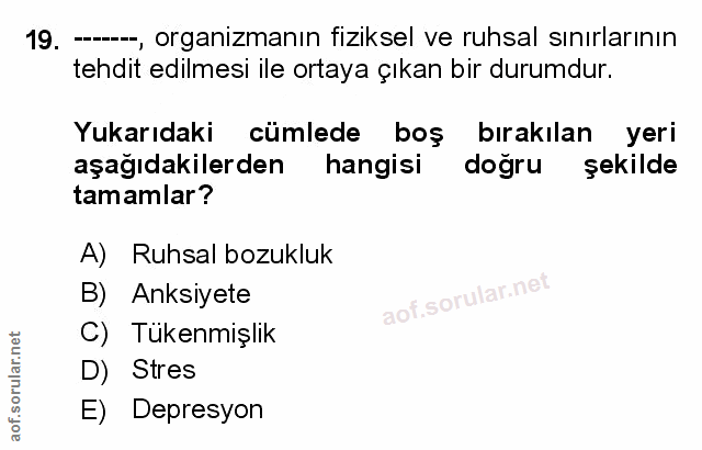 Soru 19