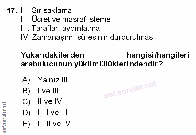 Soru 17