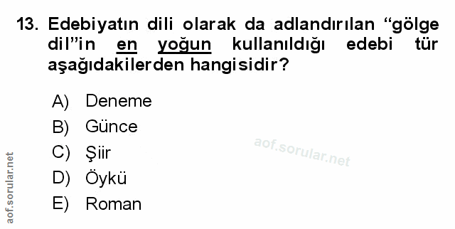 Soru 13