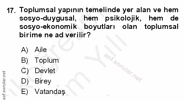 Soru 17