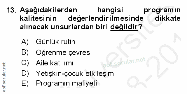 Soru 13